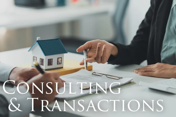 Consulting & Transactions